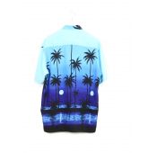 Chemisette Hawaii T M-2